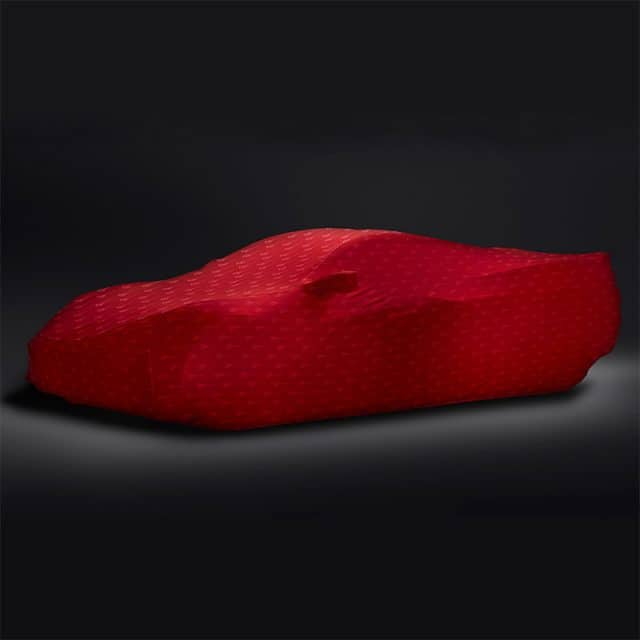 Premium Red with Embossed Stingray Logo - 84865966